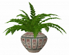 Potted Fern 2