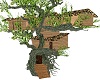 Cyprus Treehouse