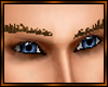 Copper Eyebrows