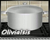 *OI Stainless Dutch Oven