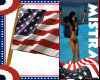 ! USA FLAG 4TH HANDHELD