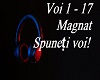 Magnat - Spuneți voi!