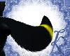 ~K~Umbreon/F/M/Tail