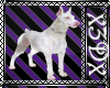 Maxie Albino Dog