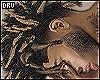 [DRV] Files Freeforms