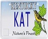 {v} Kat licence Plate