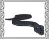 Snake Anaconda v.Pet