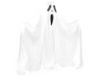 Floating Ghost Animated