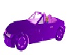 Purple&Volet Car Anim