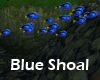 ! Blue Shoal