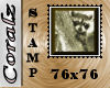 Raccoon Bigge Stamp76x76