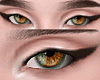 Eyes Heterochromia