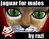 Jaguar Bundle