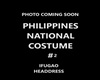 PHILIPPINES NATCOS2 HD2
