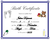 Julien Birth Certificate