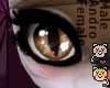 Papitas Cinnamon Eyes