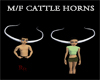 M/F Cattle Horns