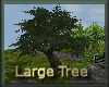 [my]Tree Large