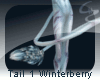 [c4z] Tail 1 Winterberry