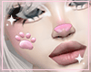 ♡ kitten face