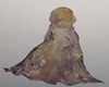 Gold cloak