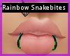 * Rainbow Snakebites