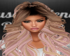 Oumi-Honey Orchid