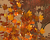 Fall Tree w Lights