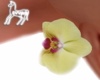 yellow earrings