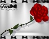 Handheld Red Rose