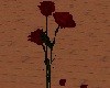 TF* Animated Roses