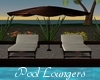 Pool Lounger Set