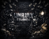Unruly Studios Wall