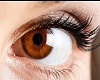Hazel color eyes 2