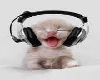 Music Kitty