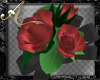 Wrist Corsage Red Roses