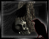 Nevermore Raven