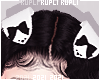 $K Puppy Ears