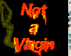 Animated Not a Virgin