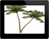 Animated Palm*