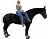 D:Black Horse With Poses