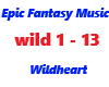 Epic Fantasy Music
