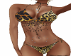 leopard bakini