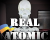 Real anatomical skeleton
