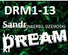 Voxon Dzemoski-Dream