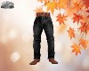 FALL FAB JEANS V3