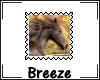 *B Horse stamp 04