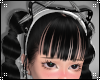Kitty Ears V3
