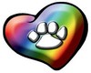 dog paws rainbow