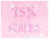 TSX Combo Scaler 